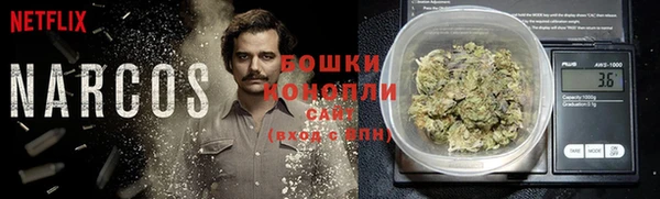 гидра Армянск