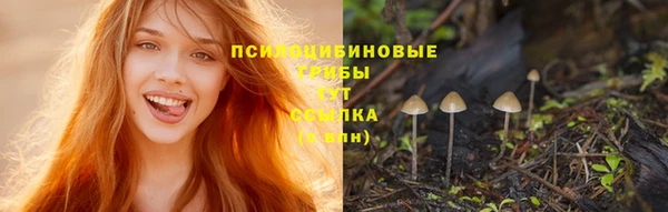 метадон Арсеньев