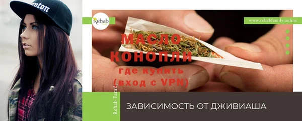гидра Армянск