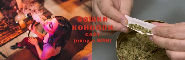 прущие крисы Надым