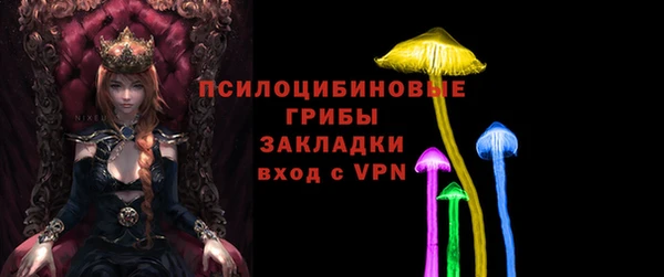 метадон Арсеньев
