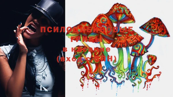 метадон Арсеньев