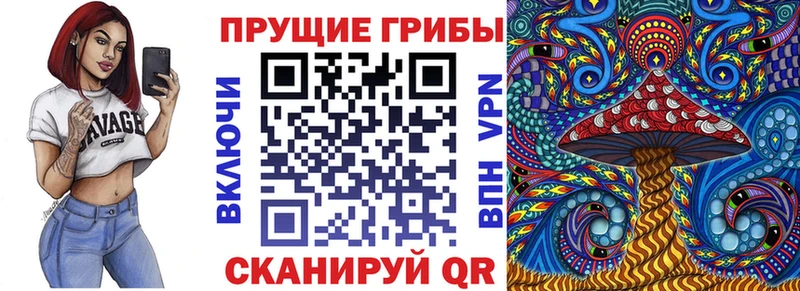 мориарти состав закладки Пошехонье Псилоцибиновые грибы GOLDEN TEACHER hydra ссылка
